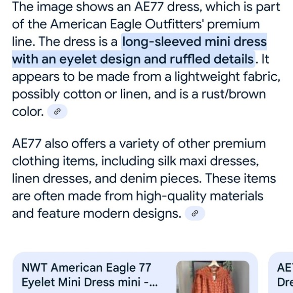 NWT American Eagle Outfitters Rust Long Sleeve Dress size XS - Picture 3 of 4